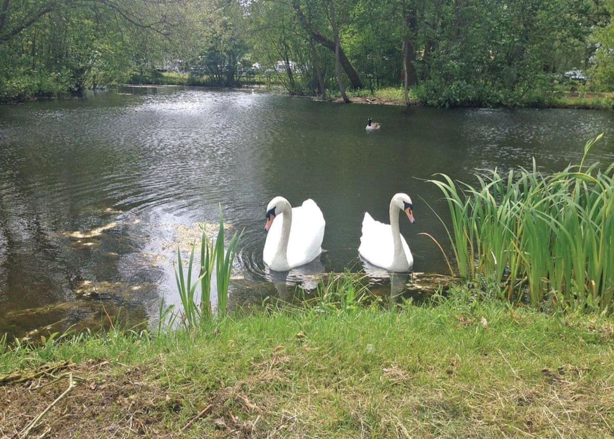 Barlings Country Park Otel Langworth Dış mekan fotoğraf